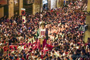 Els Gegants de La Patum