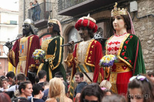 Els Gegants de La Patum